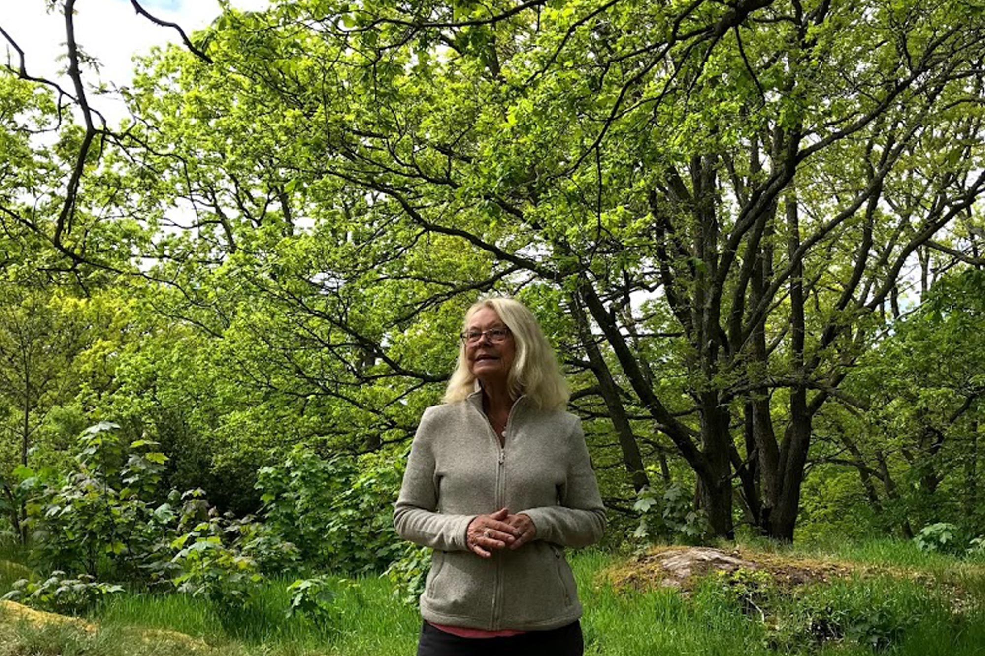 Yoga, Breathwalk och skogsbad i Göteborg