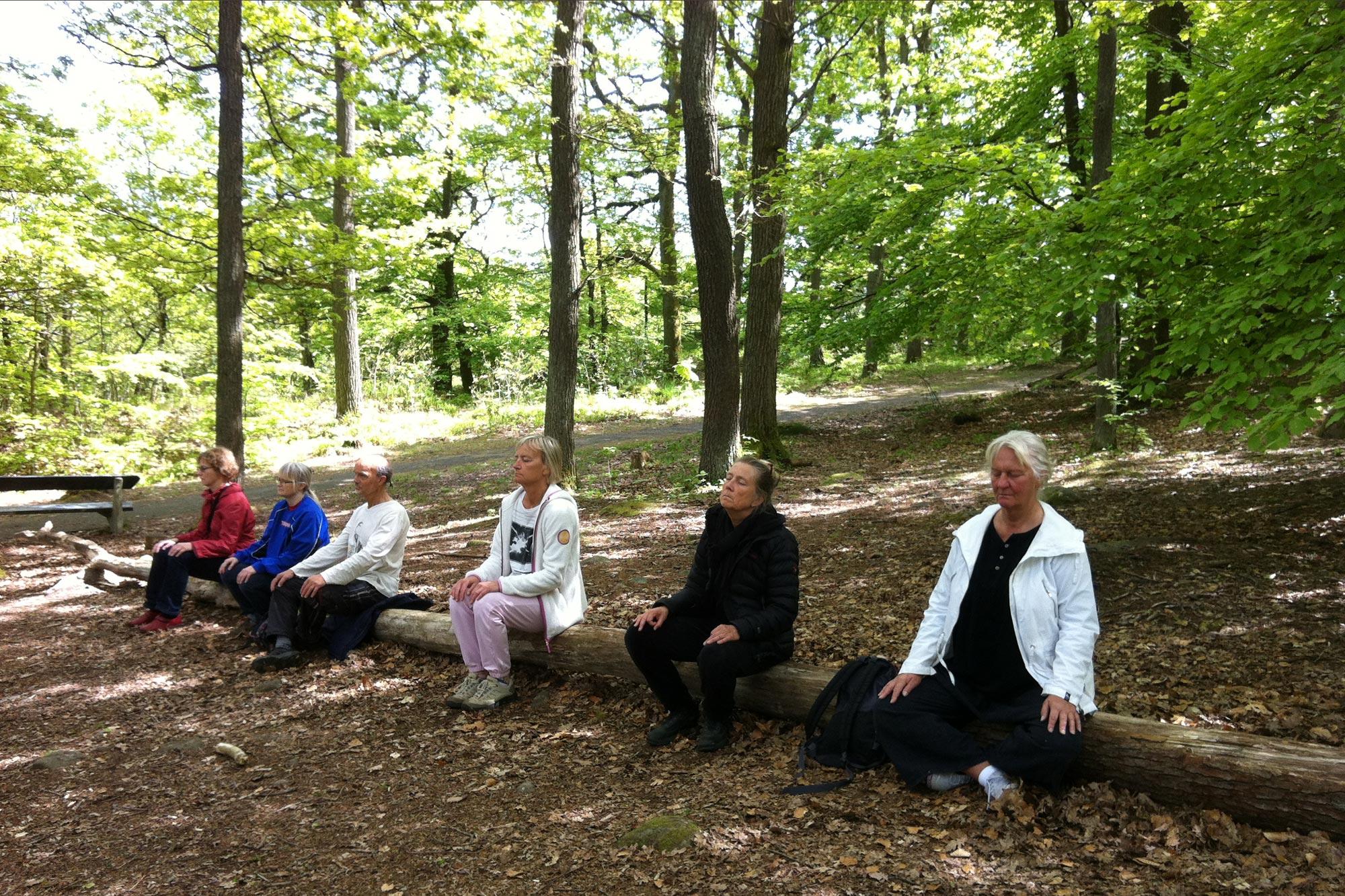 Guidad meditation i Slottsskogen